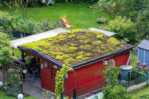 Gazebo with green roof, allotment garden in Essen, North Rhine-Westphalia, Germany, Europe