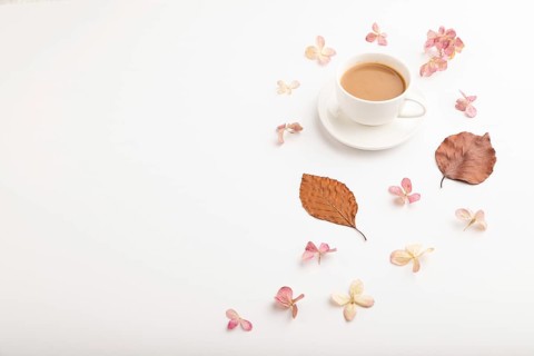 Composition with brown beech autumn leaves, hydrangea flowers and cup of coffee. mockup on white