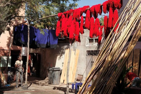 In the dyers' souk in Marrakech, Morocco, Africa