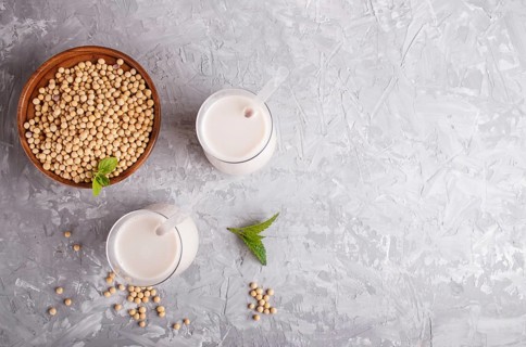 Organic non dairy soy milk in glass and wooden plate with soybeans on a gray concrete background.