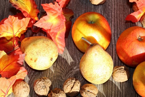 Apples, pears and walnuts on a rustic wooden table as an autumnal motif