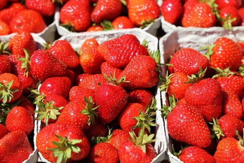 Fresh strawberries from Germany at the market in Mutterstadt, Rhineland-Palatinate