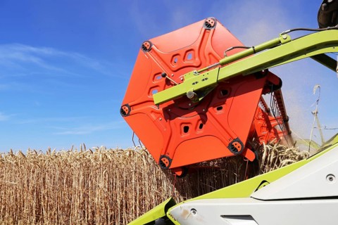 Harvesting grain with a combine harvester in a field near Ludwigshafen