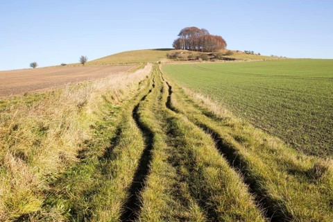 Chalk landscape in winter, Woodborough Hill, Vale of Pewsey, Wiltshire, England, UK