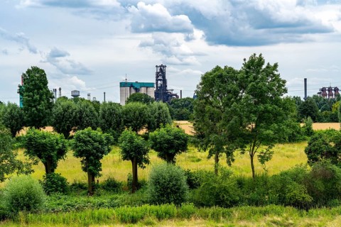 Duisburg Friemershein, floodplain along the Rhine, nature reserve Rheinaue Friemersheim, in the
