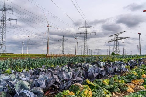 Wind farm, power line, high-voltage pylons, agriculture, fields, fields, east of Bad Wünnenberg,