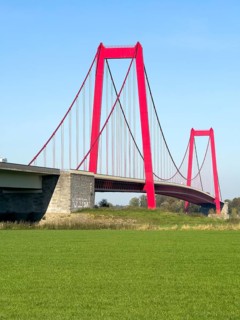 View over Rhine meadows on the left bank of the Rhine to red steel pillars of earth-anchored
