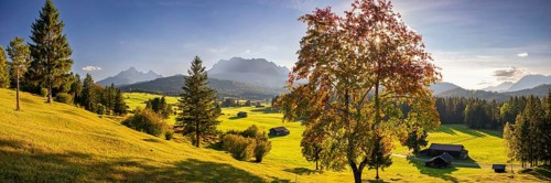Hummock meadows between Mittenwald and Krün, Werdenfelser Land, with the Wetterstein Mountains