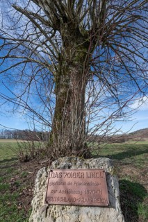 Plaque commemorating the reconciliation of the Franco-Prussian War 1870-1871 in front of a lime