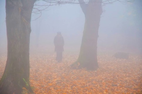Woman Walking in the Foggy with Autumn Forest with Leaves in Bellinzona, Ticino, Switzerland,