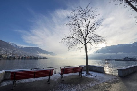 Waterfront to Lake Maggiore with Mountain and Tree and a Bench in Winter in Sunrise in Locarno,