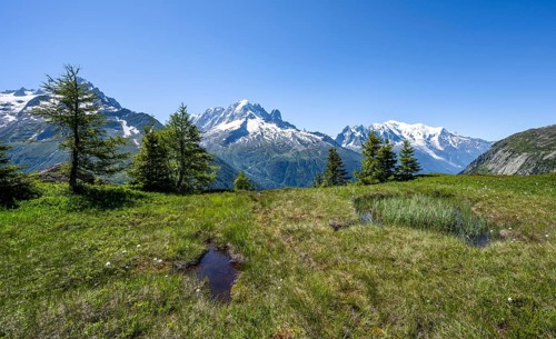 Mountain panorama with glaciated mountain peaks, Aiguille Verte with Aiguille du Midi and Mont