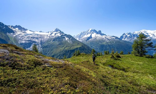 Mountaineer in front of a mountain panorama with glaciated mountain peaks, Aiguille Verte with