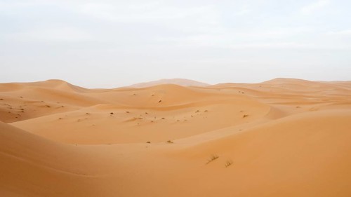 Dunes in the desert, Erg Chebbi, Sahara, Merzouga, Morocco, Africa