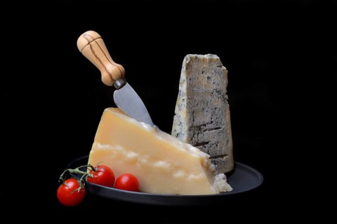 Parmesan cheese and gorgonzola cheese on a tray with cheese knife, Italy, Europe