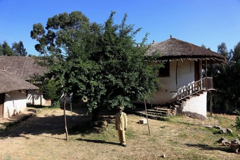 In the museum on Mount Entoto near Addis Ababa, Ethiopia, Africa