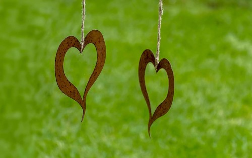 Two metal hearts as decoration hanging with strings in front of a green background, North