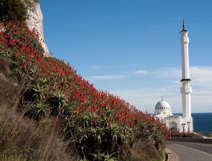 Mosque of the Custodian of the Two Holy Mosques, Europa Point, Gibraltar, British overseas