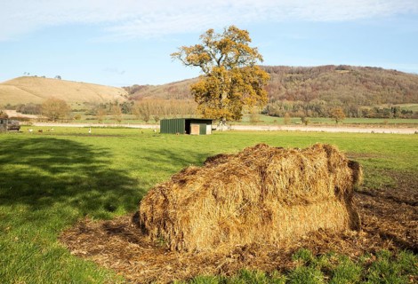 Farming landscape view chalk escarpment Oliver's castle, near Devizes, Wiltshire, England, UK from