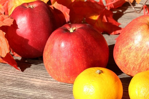 Apples and mandarins on a rustic wooden table as an autumnal motif