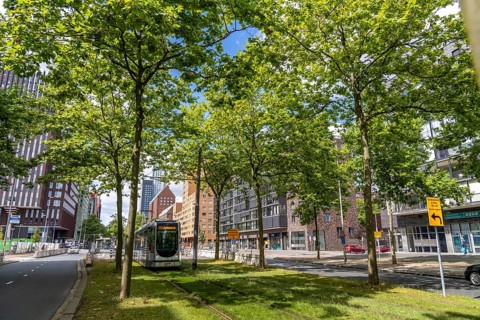 Urban greening, inner-city street Laan op Zuid, in Rotterdam's Feijenoord district, 4 lanes, 2 tram