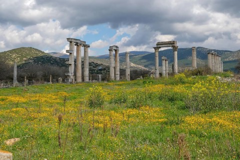 Excavation site site of the ancient city of Aphrodisias, today's city of Geyre, Karacasu, Aydin,