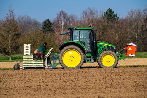 Agriculture, herb gardening, parsley is planted in rows in a field with a planting machine