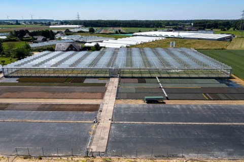 Horticultural business, irrigation with a sprinkler system, mobile on wheels in the open air,