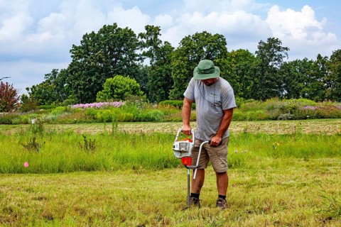 Detroit, Michigan, Volunteers planting in the wetlands at the public garden designed by prominent