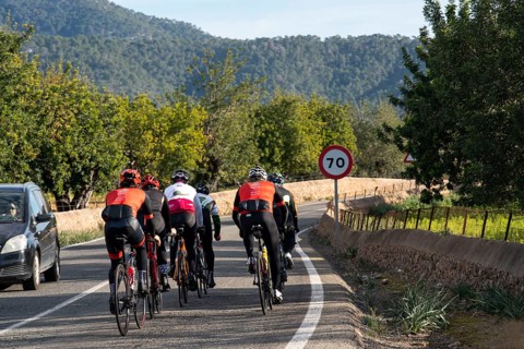 Road bike rider on the Ma-3440, near Inca, Majorca, Balearic Islands, Spain, Europe