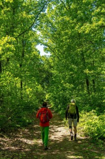 Hiking on the Bergischer Weg, a hiking trail, here in Essen, North Rhine-Westphalia, Germany,