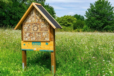 Insect hotel, wildflower meadow at the park cemetery in Essen, the city's largest cemetery, North