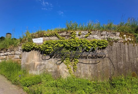 Schlossgut Hohenbeilstein, vinotheque, viticulture, lettering, Hohenbeilstein Castle, Beilstein,