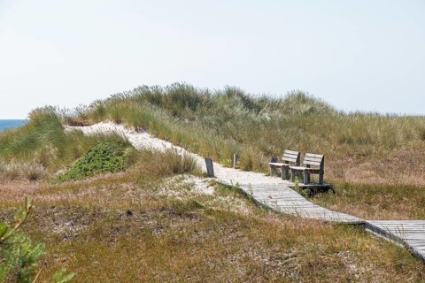 Wooden footbridge, benches, dunes, circular hiking trail, nature reserve, Darßer Ort, Born a. Darß,