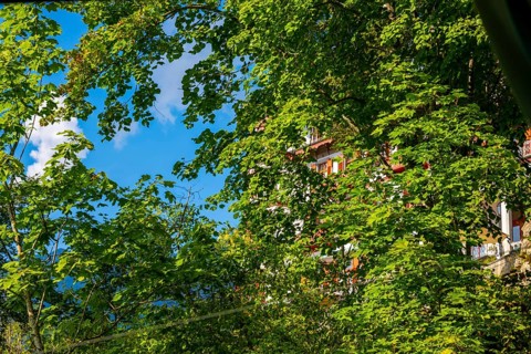 The Historical Grandhotel Giessbach on the Mountain Side Behind Trees in Brienz, Bern Canton,