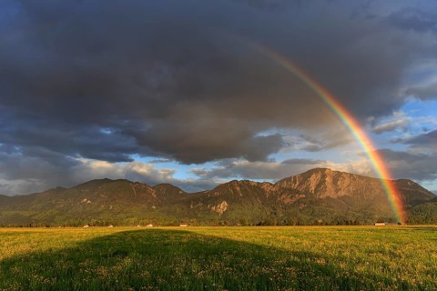 Rainbow, flower meadow, mountains, cloudy mood, evening light, Loisach-Lake Kochel moor, view of