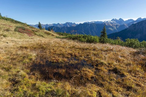 Autumn in the Allgäu, mountain panorama from Fellhorn 2037m, to Höfats, 2259m, Öfnerspitze, 2576m,
