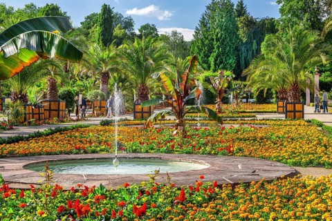 Palm garden in the spa gardens, the largest outdoor palm garden north of the Alps, spa town of Bad