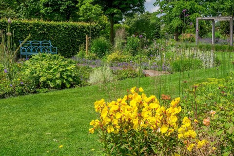 Perennial beds and blue bench in the district educational garden, Burgsteinfurt, Münsterland, North