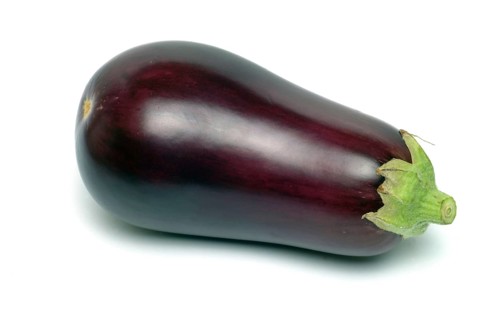 Aubergine, Solanum melongena, egg plant, single ripe fruit