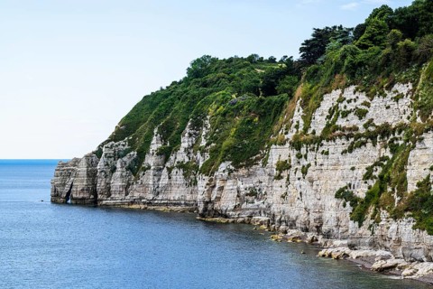 White Cliff, Jurassic Coast, Beer Village, Seaton, Devon, England, United Kingdom, Europe