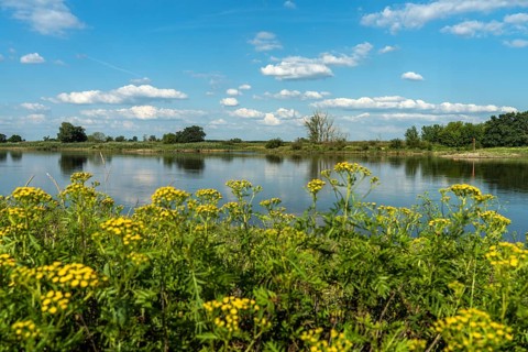 The Elbe near Tangermünde, Saxony-Anhalt, Germany, Europe