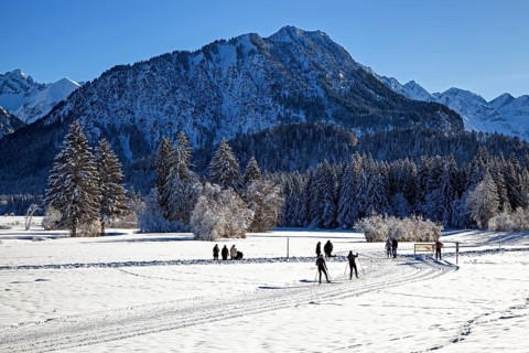 Winter landscape in the snow, cross-country skier on cross-country ski run through snowy landscape,