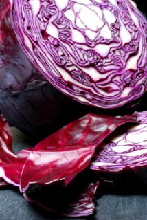 Red cabbage (Brassica oleracea var. rubra) , red cabbage, red cabbage