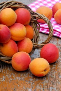 Apricots (Prunus armeniaca)