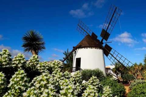 Fuerteventura, Canary Islands, Windmill in Antigua, Museum, Molino de Antigua, Spain, Europe