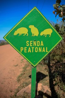 Sign Beware of Capybaras (Hydrochoerus hydrochaeris), Colonia Carlos Pellegrini, Esteros del Iberá,