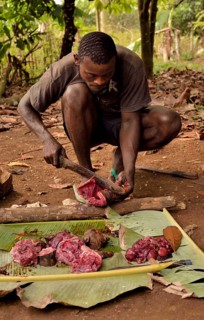Local man preparing bushmeat, Mangamba, Littoral Province, Cameroon, Africa