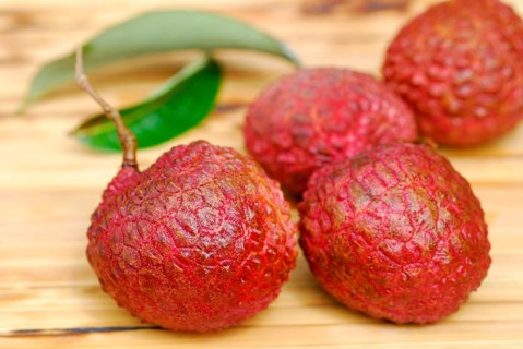 Lychee-Fruit (Litchi chinensis)
