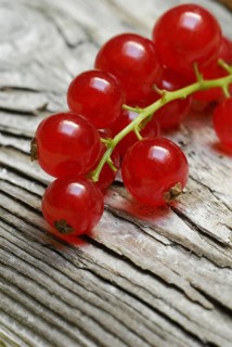 Red currants (Ribes rubrum)